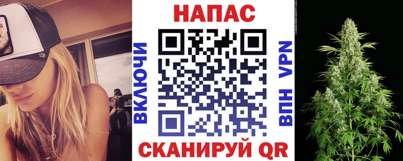 Бошки Шишки OG Kush  Купить закладки  Елабуга 